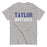 Taylor High School Mustangs Grey Classic Unisex T-shirt 017