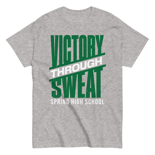 Spring High School Lions Grey Classic Unisex T-shirt 241