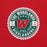 Close-up view of The Woodlands High School Highlanders Red Classic Unisex Sweatshirt 203