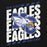 New Caney High School Eagles Black Classic Unisex Hoodie 223