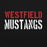 Close-up view of Westfield High School Mustangs Black Classic Unisex Hoodie 017