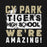 Close-up view of Cypress Park High School Tigers Black Classic Unisex Hoodie 231