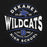 Close-up view of Dekaney High School Wildcats Black Classic Unisex Hoodie 218
