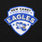 Close-up view of New Caney High School Eagles Black Classic Unisex Hoodie 221