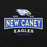 Close-up view of New Caney High School Eagles Black Classic Unisex Hoodie 202