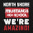 Close-up view of North Shore High School Mustangs Black Classic Unisex Hoodie 231