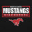 Close-up view of North Shore High School Mustangs Black Classic Unisex Hoodie 049