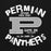 Close-up view of Permian High School Panthers Black Classic Unisex Hoodie 228