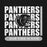 Panthers logo with 'Our Time is Now' text on a black background - classic hoodie design 235