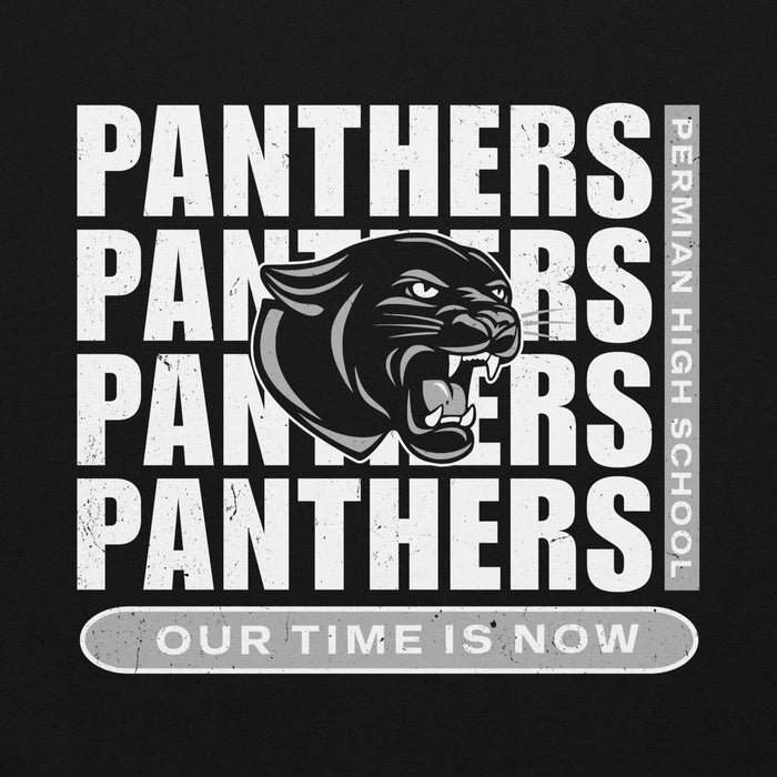 Panthers logo with 'Our Time is Now' text on a black background - classic hoodie design 235
