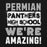 Close-up view of Permian High School Panthers Black Classic Unisex Hoodies 231
