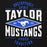 Close-up view of Taylor High School Mustangs Black Classic Unisex Hoodie 210