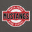 Close-up view of North Shore High School Mustangs Dark Grey Classic Unisex Hoodie 011