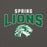 Close-up view of Spring High School Lions Dark Grey Classic Unisex Hoodie 234