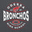 Close-up view of Odessa High School Bronchos Dark Grey Classic Unisex Hoodie 218