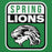 Close-up view of Spring High School Lions Irish Green Classic Unisex Hoodie 001