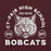 Close-up view of Cy-Fair High School Bobcats Maroon Classic Unisex Hoodie 208