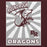 Close-up view of Round Rock High School Dragons Maroon Classic Unisex Hoodie 226