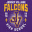 Close-up view of Jersey Village High School Falcons Purple Classic Unisex Hoodie 204