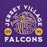 Close-up view of Jersey Village High School Falcons Purple Classic Unisex Hoodie 208