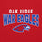 Close-up view of Oak Ridge High School War Eagles Red Classic Unisex Hoodie 234