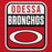 Close-up view of Odessa High School Bronchos Red Classic Unisex Hoodie 001