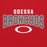 Close-up view of Odessa High School Bronchos Red Classic Unisex Hoodie 234