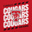Close-up view of Tomball High School Cougars Red Classic Unisex Hoodie 223
