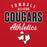 Close-up view of Tomball High School Cougars Red Classic Unisex Hoodie 034