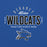 Close-up view of Dekaney High School Wildcats Royal Blue Classic Unisex Hoodie 040