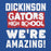 Close-up view of Dickinson High School Gators Royal Blue Classic Unisex Hoodie 231