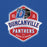 Close-up view of Duncanville High School Panthers Royal Blue Classic Unisex Hoodie 209