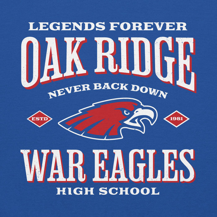 Close-up view of Oak Ridge High School War Eagles Royal Blue Classic Unisex Hoodie 230