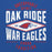 Close-up view of Oak Ridge High School War Eagles Royal Blue Classic Unisex Hoodie 210