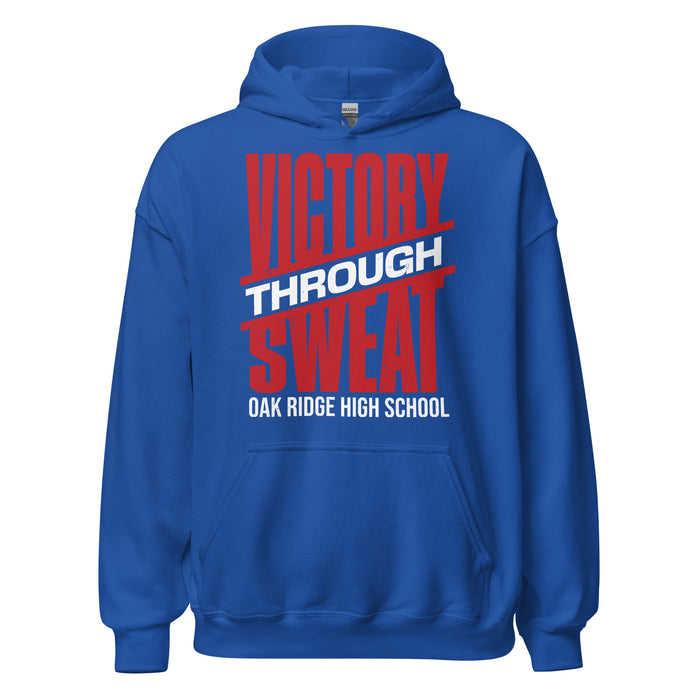 Oak Ridge High School War Eagles Royal Blue Classic Unisex Hoodie 241