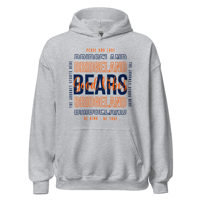 Bridgeland High School Bears Sport Grey Classic Unisex Hoodie 13