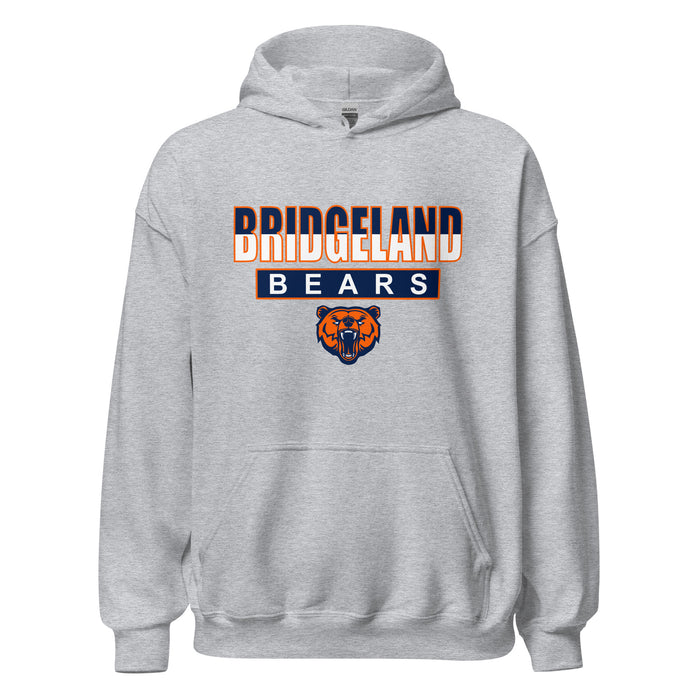 Bridgeland High School Bears Sport Grey Classic Unisex Hoodie 23