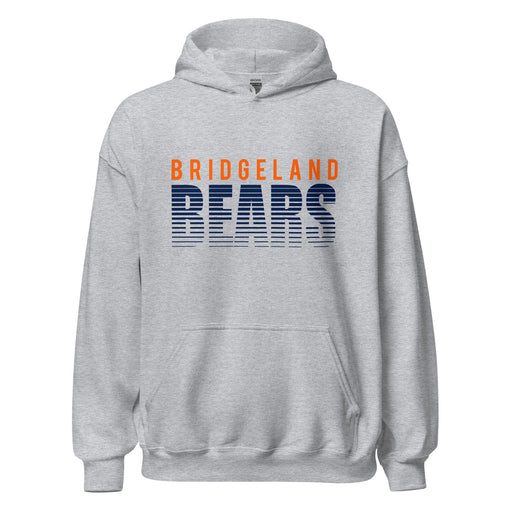 Bridgeland High School Bears Sport Grey Classic Unisex Hoodie 24