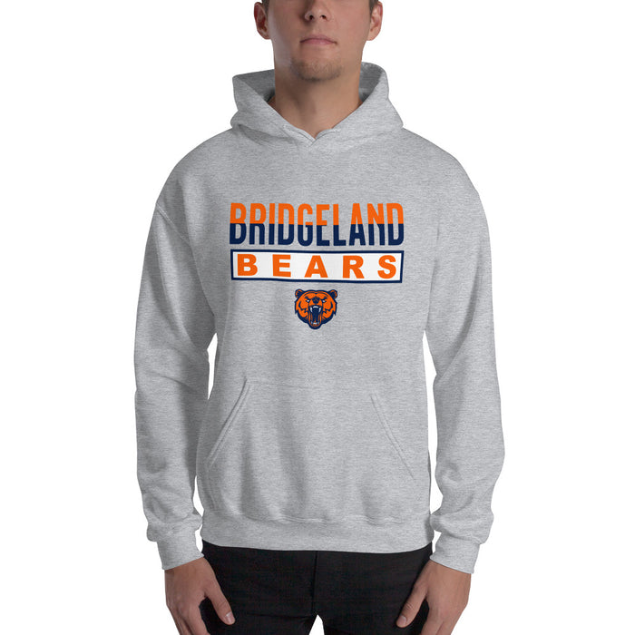 Man wearing a Bridgeland High School Bears Sport Grey Classic Unisex Hoodie 29