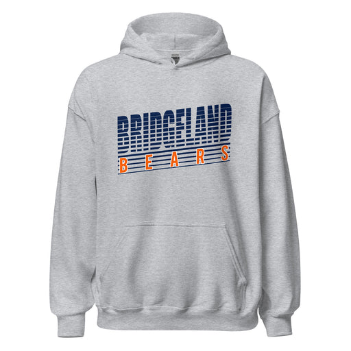 Bridgeland High School Bears Sport Grey Classic Unisex Hoodie 32