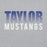 Close-up view of Taylor High School Mustangs Grey Classic Unisex Hoodie 024