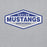 Close-up view of Taylor High School Mustangs Grey Classic Unisex Hoodie 009