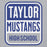 Close-up view of Taylor High School Mustangs Grey Classic Unisex Hoodie 001