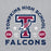 Close-up view of Tompkins High School Falcons Grey Classic Unisex Hoodie 208