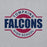 Close-up view of Tompkins High School Falcons Grey Classic Unisex Hoodie 011