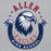 Close-up view of Allen High School Eagles Classic Grey Unisex Hoodie 216