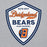 Close-up view of Bridgeland High School Bears Classic Grey Unisex T-shirt 225