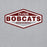 Close-up view of Cy-Fair High School Bobcats Sport Grey Classic Unisex Hoodie 009