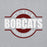 Close-up view of Cy-Fair High School Bobcats Sport Grey Classic Unisex Hoodie 011