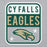 Close-up view of Cypress Falls High School Eagles Heather Grey Classic Unisex Hoodie 001